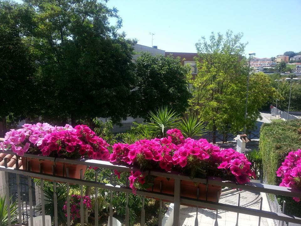 로레토 A Casa Di Nonna B&B 외부 사진